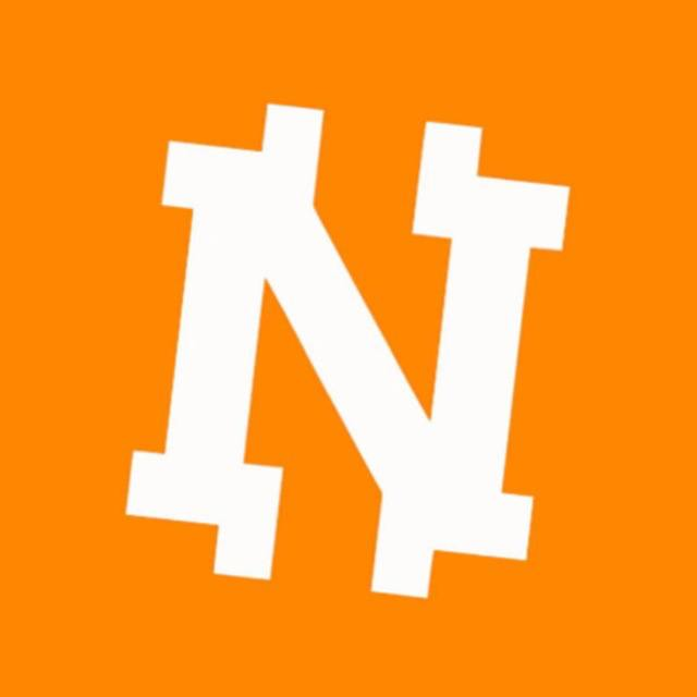 Netcoin Logo